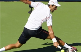 Djokovic: Quần vợt hiện không là ưu tiên số 1 